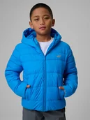Kurtki i płaszcze dla chłopców - 4F Kurtka z wypełnieniem syntetycznym chłopięca - niebieska 164 (13-14 lat) - miniaturka - grafika 1