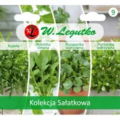 Nasiona i cebule - Kolekcja Sałatkowa - miniaturka - grafika 1