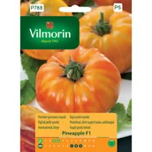 Nasiona i cebule - Pomidor gruntowy wysoki Pineapple F1 nasiona Vilmorin - miniaturka - grafika 1
