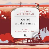 Audiobooki - literatura piękna - Kolej podziemna - miniaturka - grafika 1