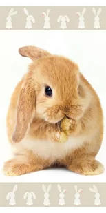 Ręcznik kąpielowy Bunny brown, 70 x 140 cm - Okrycia kąpielowe dla dzieci - miniaturka - grafika 1