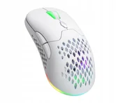 Myszki - Silver Monkey X Vervet White - miniaturka - grafika 1