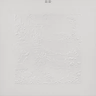 Muzyka alternatywna - Bon Iver (10th Anniversary Edition) - miniaturka - grafika 1