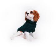 Ubranka dla psów - Sweterek dla psa Slim Sweterek dla psa Slim butelkowa zieleń xxl - miniaturka - grafika 1