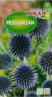 Przegorzan niebieski 0.5 g POLAN - Nasiona i cebule - miniaturka - grafika 1