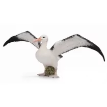 Collecta Albatros wędrowny L - Figurki dla dzieci - miniaturka - grafika 1
