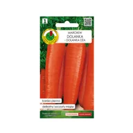 Nasiona i cebule - Marchew jadalna Dolanka nasiona 2g Pnos - miniaturka - grafika 1