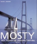 Książki o kulturze i sztuce - Mosty. Trzy tysiące lat zmagań z naturą - miniaturka - grafika 1