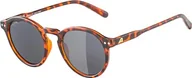 Okulary przeciwsłoneczne - ALPINA Unisex Sneek okulary przeciwsłoneczne, Havana Gloss, rozmiar uniwersalny, Havana Gloss, jeden rozmiar - miniaturka - grafika 1