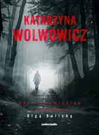 Kryminały - Seria kryminalna z komisarz Olga Balicką. Pakiet: Niewinne ofiary / Fałszywe tropy / Toksyczne układ - miniaturka - grafika 1