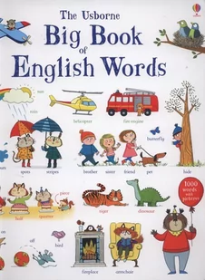 The Big book of English words - Pozostałe książki - miniaturka - grafika 1