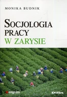 Filozofia i socjologia - Difin Socjologia pracy w zarysie Monika Budnik - miniaturka - grafika 1