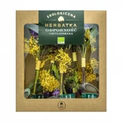 Herbata - Dary Natury Herbatka liofilizowana na odporność 13 g Bio - miniaturka - grafika 1