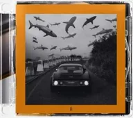 Reggae - CD Paulie Garand: Molo II Ii - miniaturka - grafika 1