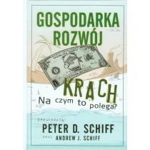 Gospodarka rozwój krach Na czym to polega Używana - Biznes - miniaturka - grafika 1