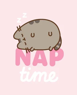 Koc 130x160 Pusheen The Cat Puszin Kot Kotek Kocyk Flanelowy Super Miękki - Koce - miniaturka - grafika 1