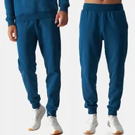 Dresy męskie - SPODNIE DRESOWE MĘSKIE 4F 3XL JOGGERY DRESY SPORTOWE TTROM0942 AW24 - miniaturka - grafika 1