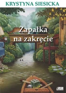 Literatura popularno naukowa dla młodzieży - Zapałka na zakręcie - miniaturka - grafika 1