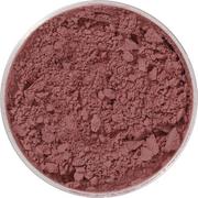 Kryolan Kryolan krew w proszku 10g