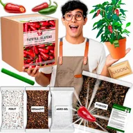 Nasiona i cebule - Papryka chili Jalapeno Zestaw do uprawy papryki XXL Nasiona - miniaturka - grafika 1