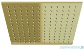 Deszczownice - Kohlman Q25EGDB Deszczownica kwadratowa 25 x 25 cm GOLD BRUSHED - miniaturka - grafika 1