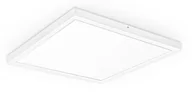 Oprawy, klosze i abażury - Panel LED 600 natynkowy 4500lm 50W b.neutralna 4000K 600x600x38mm obudowa biała klosz mleczny XELENT 60 IP40 BRILUM ELGO - miniaturka - grafika 1