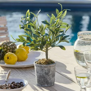 Dekoracyjna roślina doniczkowa Mariuccia - Sztuczne kwiaty - miniaturka - grafika 1