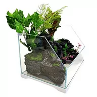 Akwaria i zestawy akwarystyczne - SunSun Aqua Paludarium 30l - zestaw paludarium SUNSUN HSJ-300 - miniaturka - grafika 1