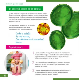 (ES) Mikroskop Discovery Pico - Mikroskopy i lupy - miniaturka - grafika 6