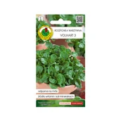 Nasiona i cebule - Roszponka warzywna Volhart nasiona tradycyjne Pnos - miniaturka - grafika 1