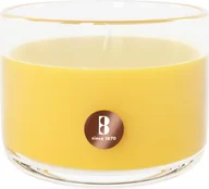 Świece - Świeca zapachowa w szkle True Scents mimoza Bolsius - miniaturka - grafika 1