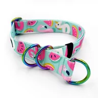 Obroże dla psów - Obroża półzaciskowa Azure Pool szeroka na 2,5 cm, dla średnich i większych psów, holo okucia-L/XL - miniaturka - grafika 1