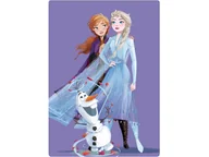 Koce i narzuty dla dzieci - Koc polarowy Disney Frozen 4183 100x140cm - miniaturka - grafika 1