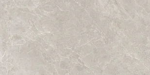 Gres Alvaro beige mat rectified 59,8x119,8 Cersanit - Płytki ceramiczne - miniaturka - grafika 1