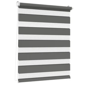 Roleta Mini DN Prima 53,5 x 140 cm stal - Rolety - miniaturka - grafika 1