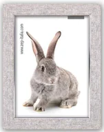 Ramki na zdjęcia - Stowarzyszenie do Popierania Życia Uniwersaln Ramka  Doneck B 15x20 Resin Frame AZ168 AZ168 - miniaturka - grafika 1