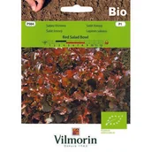 Nasiona i cebule - Sałata liściowa BIO Red Salad Bowl czerwona 0,5 g Vilmorin Garden - miniaturka - grafika 1