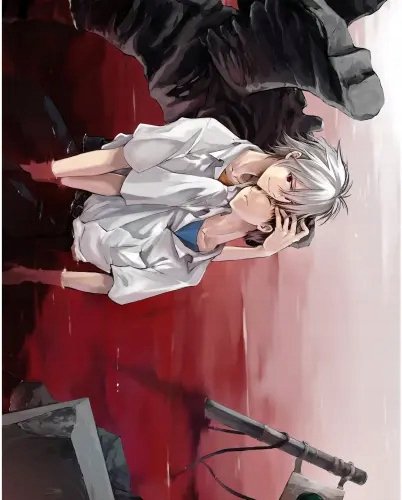 Plakat Anime Neon Genesis Evangelion nge_117 A2 Custom