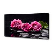 Obrazy i zdjęcia na płótnie - Foto obraz canvas Różowe róże - miniaturka - grafika 1