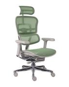 Fotele i krzesła biurowe - Fotel biurowy Ergohuman 2 Elite GS Green - zielono-szary ergonomiczny fotel siatkowy - miniaturka - grafika 1