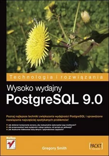 Wysoko wydajny PostgreSQL 9.0 - E-booki - informatyka - miniaturka - grafika 1