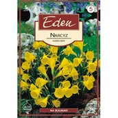Nasiona i cebule - Narcyz Golden Bells 5 sztuk Eden - miniaturka - grafika 1