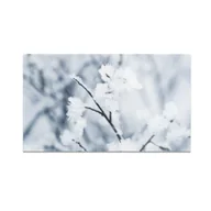 Deski do krojenia - Szklana deska do krojenia HOMEPRINT Szron na gałęziach 60x52 cm - miniaturka - grafika 1