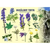 Tablice i flipcharty - Tablica 100x72cm Rośliny Tatr. Jaskrowate - miniaturka - grafika 1