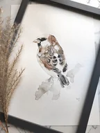 Obrazy i zdjęcia na płótnie - Akwarela wróbel - miniaturka - grafika 1