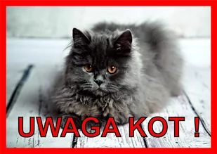 Tabliczka UWAGA KOT Laminowana Perski - Odblaski i adresówki - miniaturka - grafika 1
