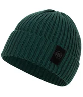 Czapki damskie - Czapka zimowa PIT BULL VELCRO LOGO zielona - miniaturka - grafika 1