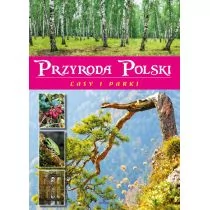 Przyroda Polski Lasy I Parki Żaneta Zając - Przewodniki - miniaturka - grafika 2