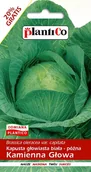 Nasiona i cebule - Plantico Kapusta głąbiasta biała Kamienna Głowa - miniaturka - grafika 1