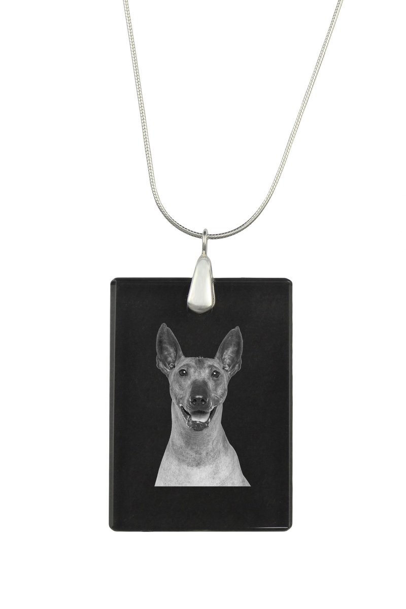 Nagi pies meksykański, Bezwłosy pies Azteków, Xoloitzquintle - kryształowa zawieszka z psem, srebrny naszyjnik ze zdjęciem, personalizowany wisiorek..